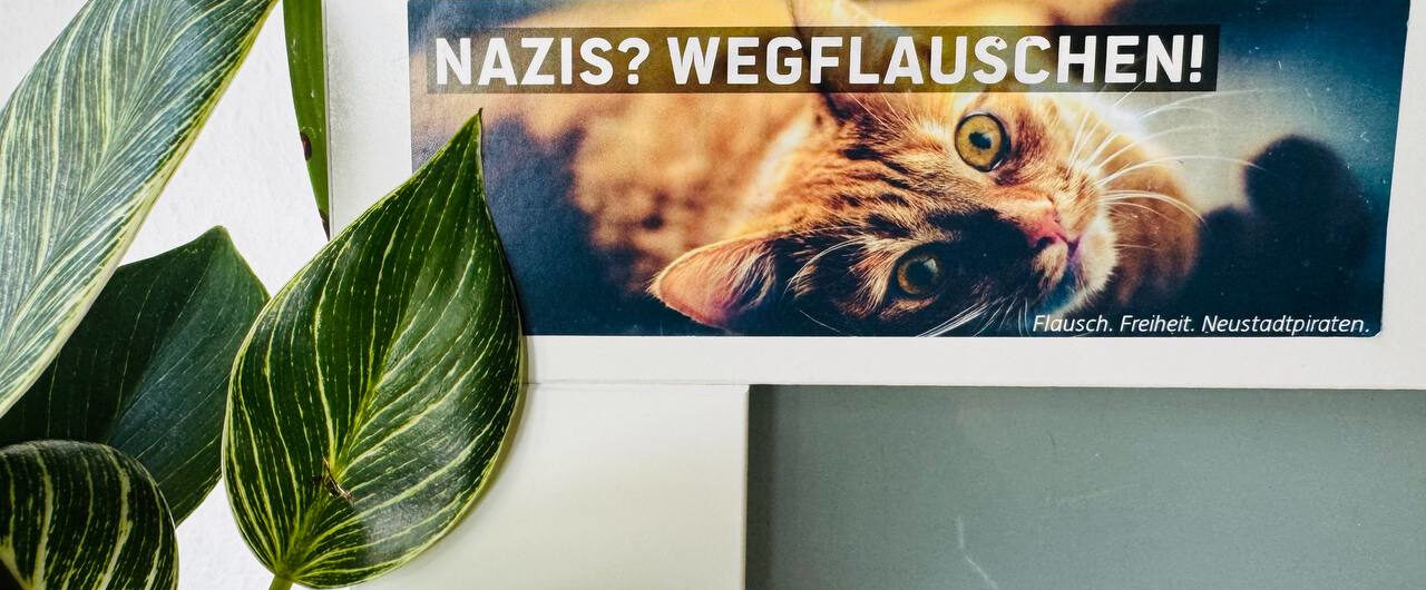 Ein Sticker mit einer Katze darauf an einer Tür. Auf dem Sticker steht: "Nazis? Wegflauschen!"