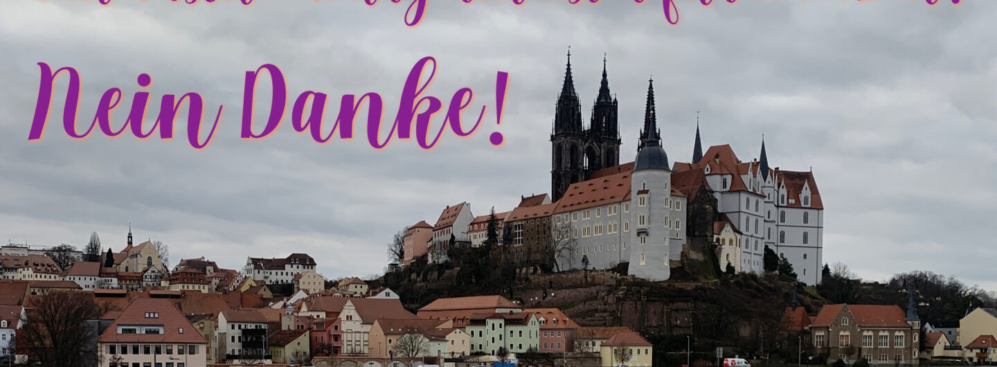 Meißen von der Elbe aus fotografiert. Zu lesen ist: Ein Fascho-Bürgermeister für Meißen? Nein danke!